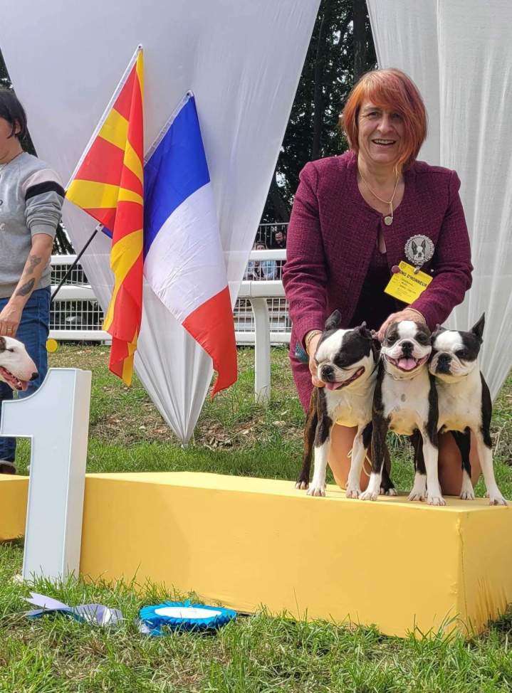 Récompense meilleur éleveur Boston Terrier Chalon-sur-Saône