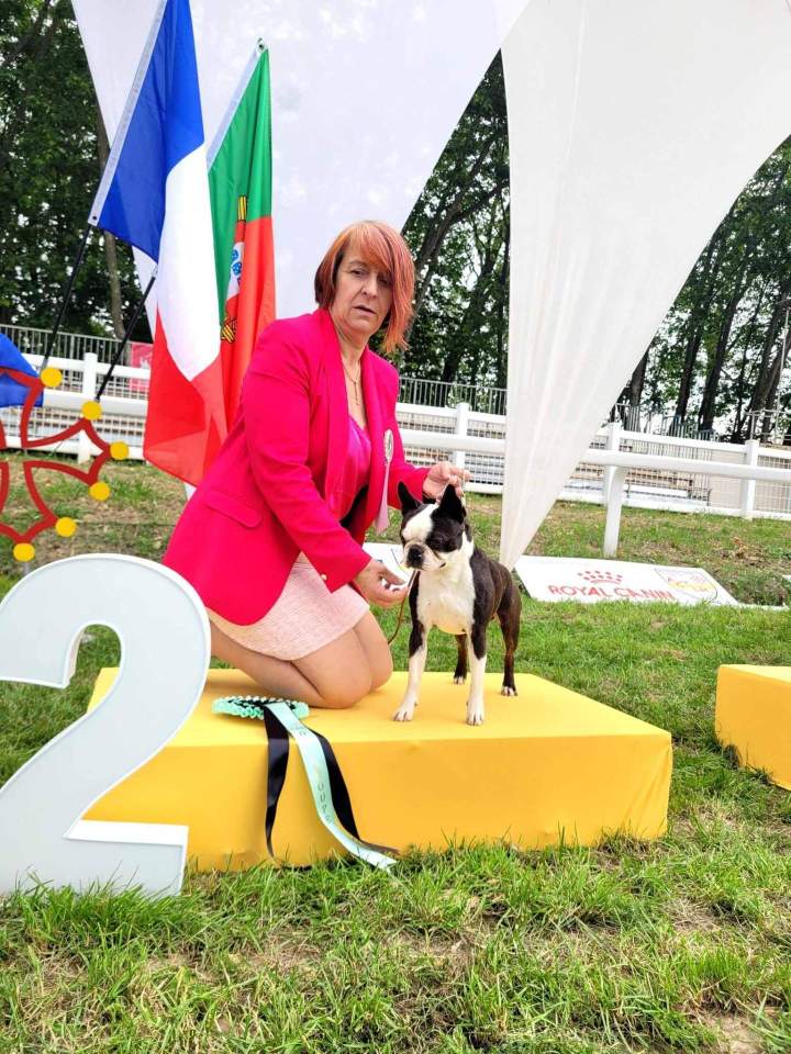 Prix meilleur élevage canin Chalon-sur-Saône