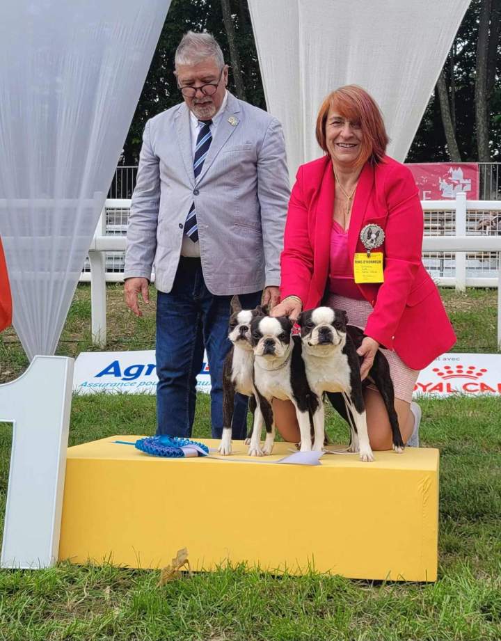 Prix meilleur éleveur Boston Terrier Chalon-sur-Saône
