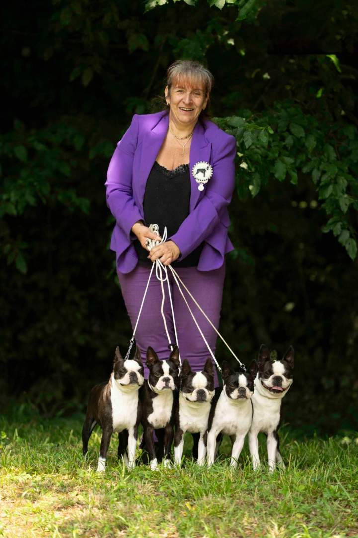 Prix meilleur élevage Boston Terrier Chalon-sur-Saône 