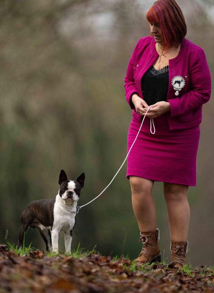 Éleveur de Boston Terrier Chalon-sur-Saône